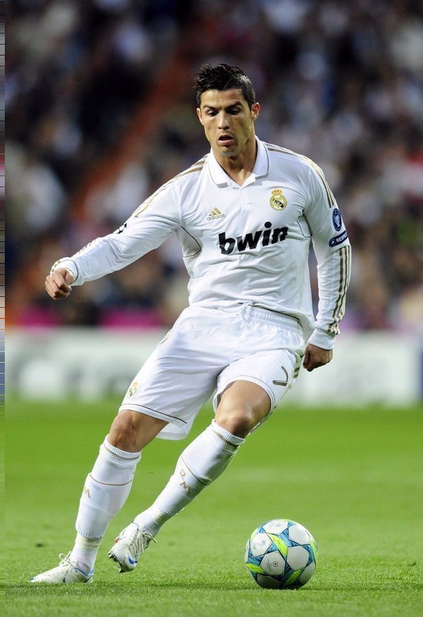 还是对哈兰 还是对哈兰