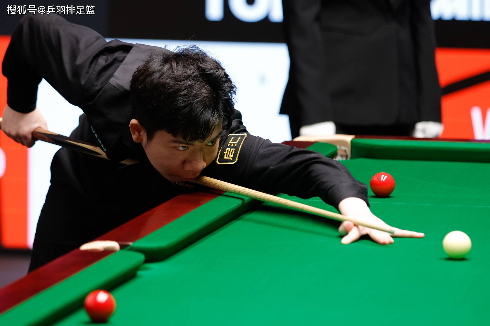 这是灰熊当 这是灰熊当